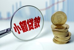 东莞24哪里可以小额贷款-东莞24哪里有民间借贷-东莞24民间短期私借借款
