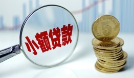 东莞24哪里可以小额贷款-东莞24哪里有民间借贷-东莞24民间短期私借借款